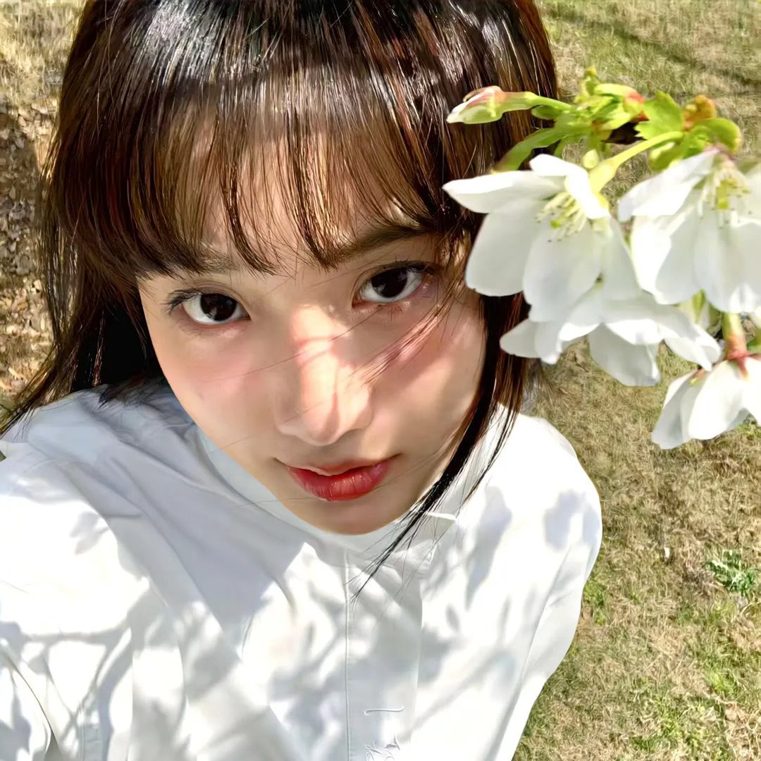 侍女之道